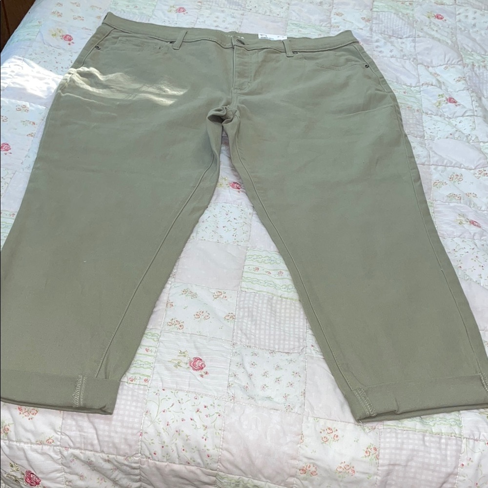 Green Cropped Ankle Pants with Straight Leg Girlfriend  pants